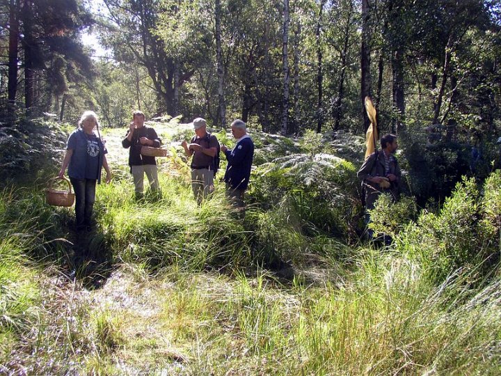 2011 08 Sortie bonus Mare au vinaigre 13